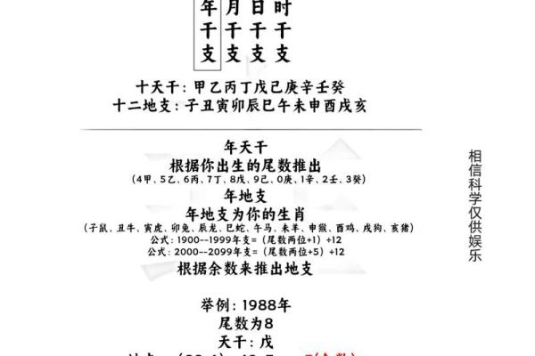八字算命的准确性分析与实用性探讨