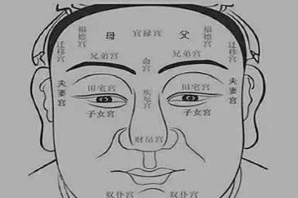 八字掌的起源与解读：从面相学看人生走势