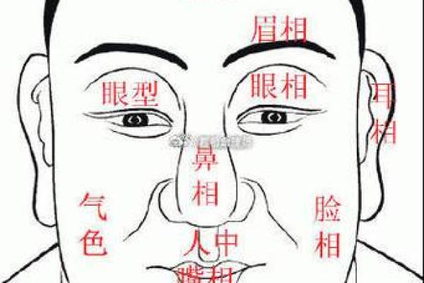 面相揭秘：哪些面部特征预示着财运亨通