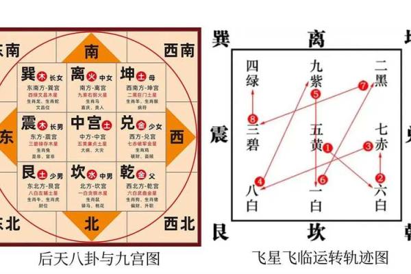 专业九星排盘软件，带你走向命运的正确方向