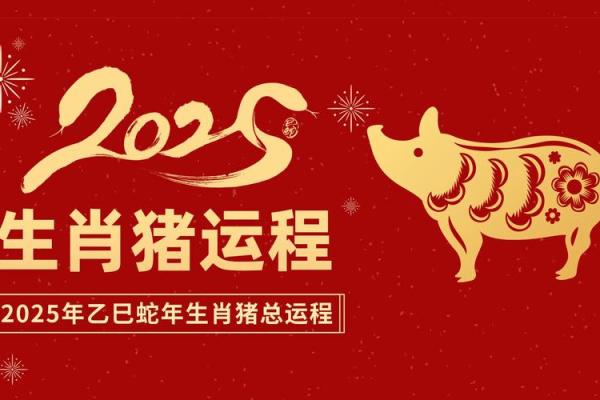 给属猪宝宝起名：助力未来幸福与成功的名字选择