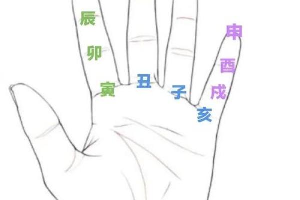紫薇排盘图解入门：一步步解读命理玄机
