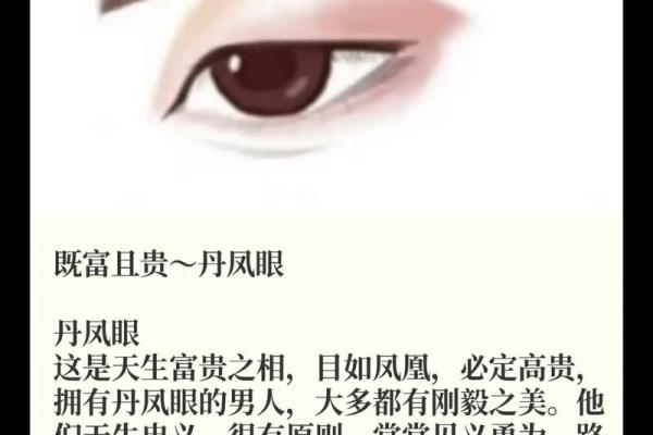 眼睛面相学揭秘：从眼神看透个人性格与命运变化