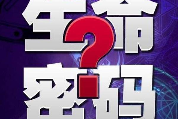 灵匣八字排盘解析：解读命运与人生轨迹的奥秘
