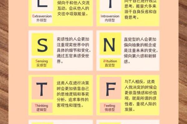 挑眉面相与个人性格的深层联系解析