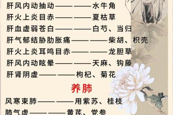 五行五脏理论：探索中医如何调和身体健康与自然元素