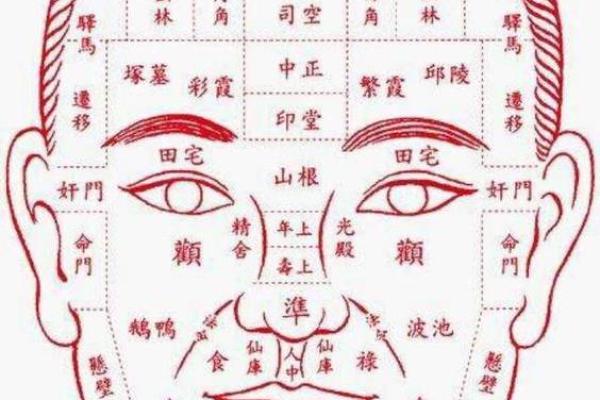 贵妇面相的独特之处与命运走势