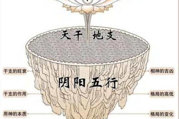 八字命理的深层含义与人生解析