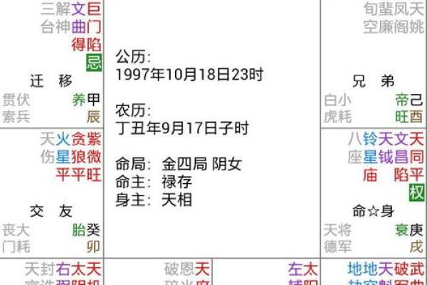 紫薇专业排盘解析：如何解读个人命运的深层含义
