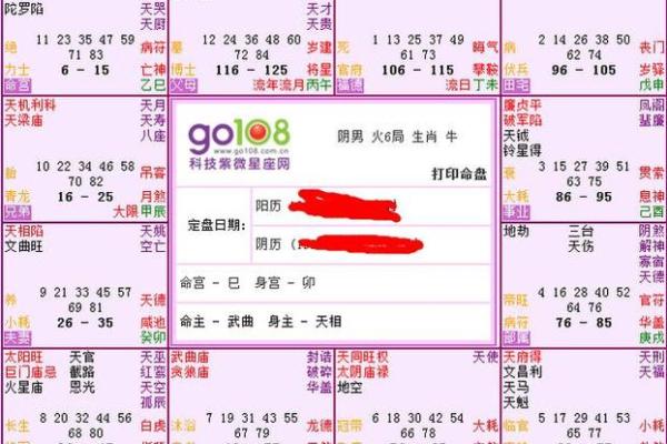 紫薇专业排盘解析：如何解读个人命运的深层含义