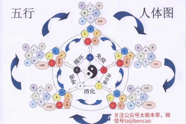 五行与色彩的深层关系：解读五种元素对应的颜色意义