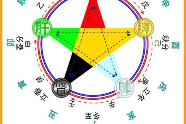 三七透天干在中医中的应用与治疗价值解析