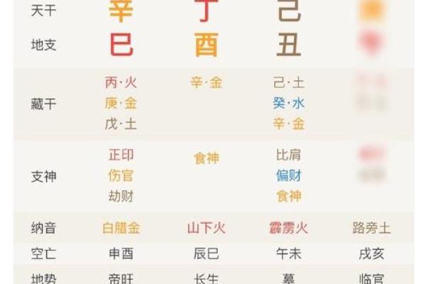 出生的人的命运解析与性格特点