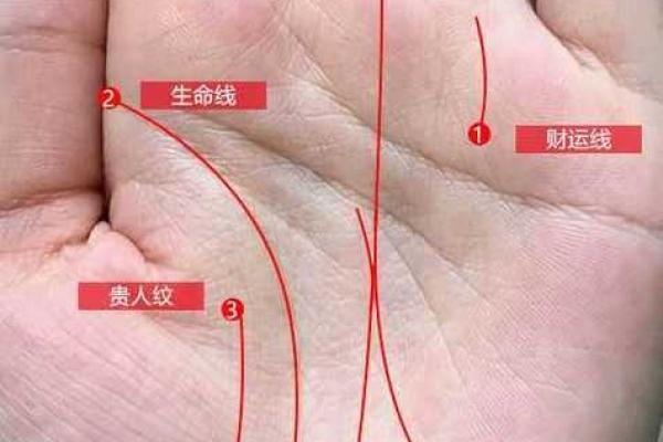 你是否有双生命线？看看它如何影响你的生活