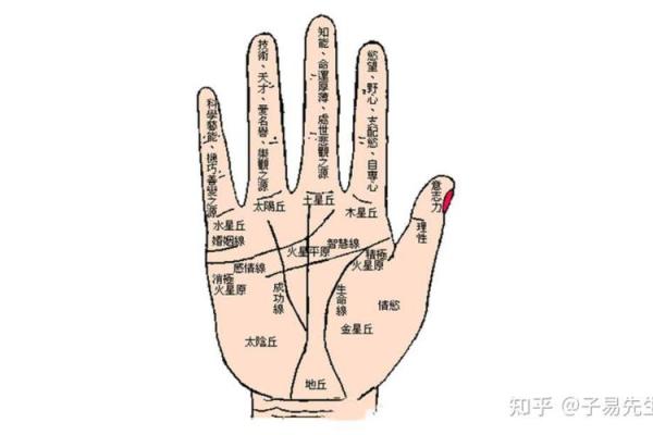 如何通过手相判断自己是否会富有