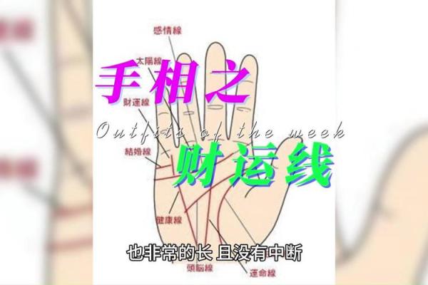 如何通过手相判断自己是否会富有