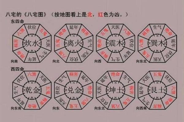 探讨震命：东四命对个人命运的影响