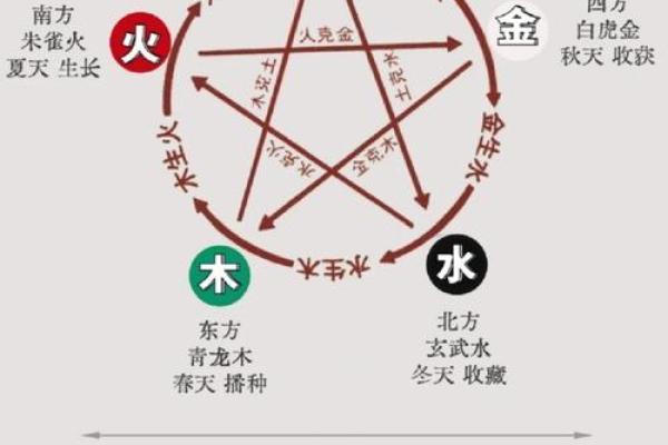 贞字五行属性解析及其在命理中的意义