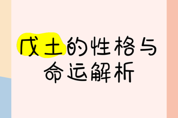 戊子命的命理解析与人生影响
