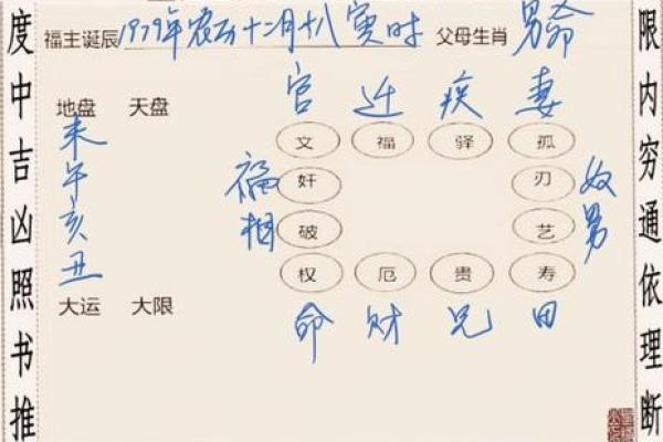 如何利用一掌经排盘预测未来发展