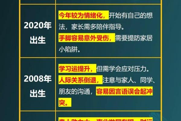 属鼠属相命运揭秘：一生的运势与性格分析