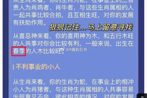 深入解析林申八字：成功与挑战的命理密码