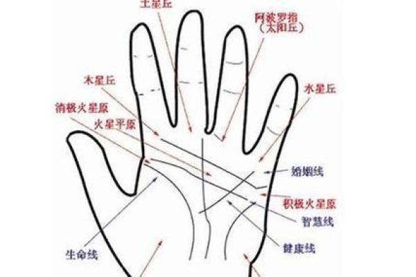 女生手相分析：左手与右手代表的不同含义解析