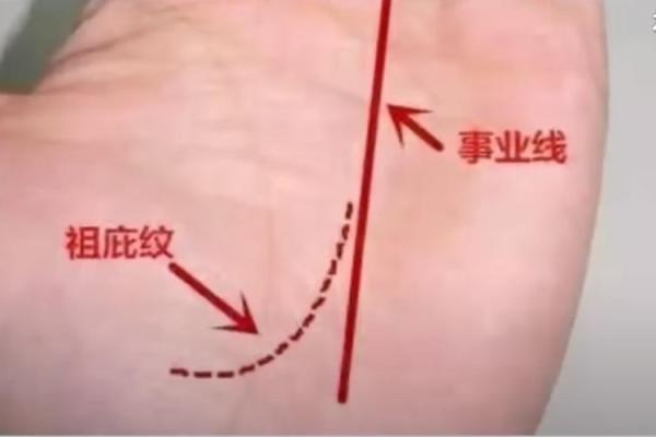 如何通过手相分析决定不动产投资方向