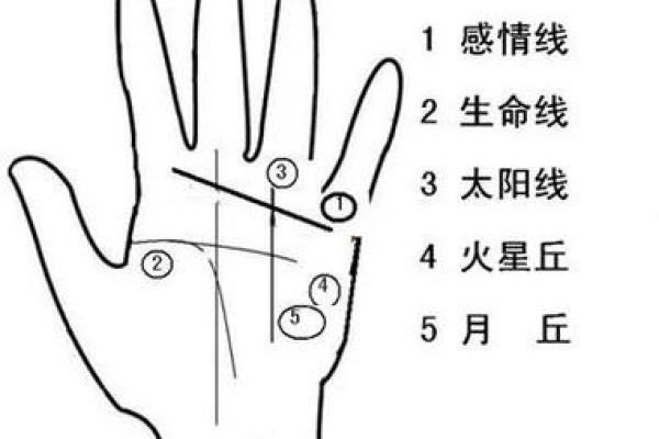 如何通过手相分析决定不动产投资方向