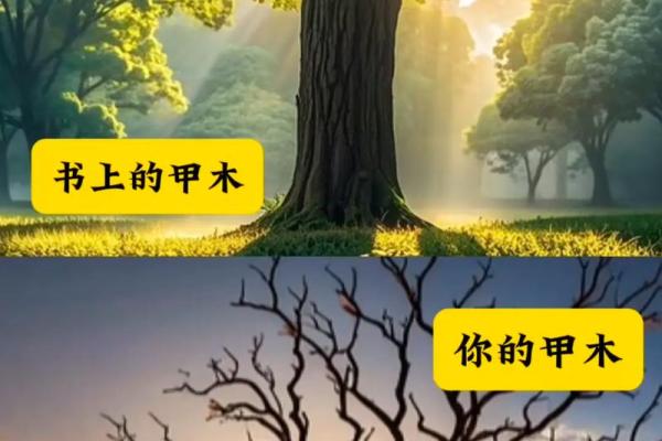 天干壬甲癸的象征意义与命理应用解析