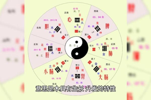 五行查询：如何通过免费工具了解你的命运