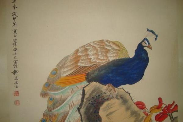 为什么孔雀命被视为贵命？