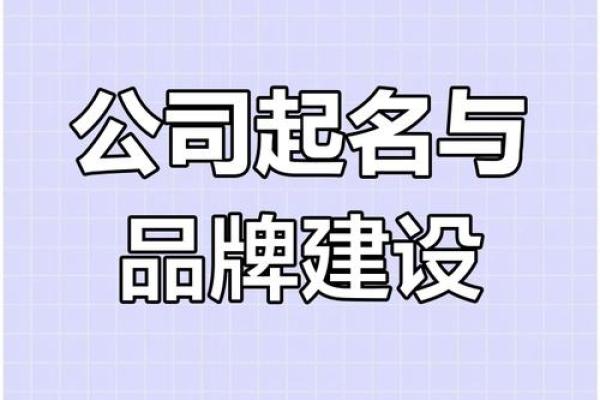 免费公司起名网站合集，助力创业之路