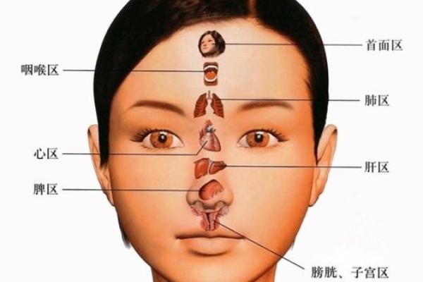 揭示富人面相的秘密：你是否拥有财富基因