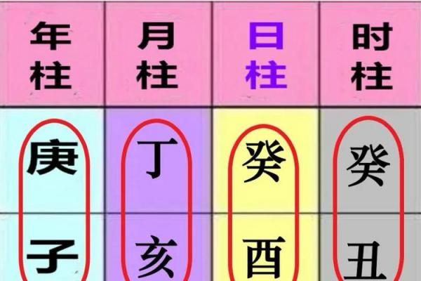 苏氏八字排盘解析与应用技巧