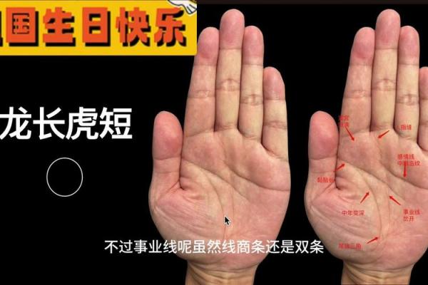 如何解读龙压虎手相中的力量与智慧