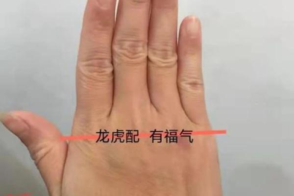 如何解读龙压虎手相中的力量与智慧
