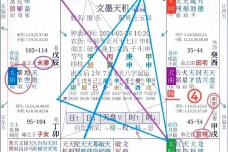 初生的人命运解析与性格特点