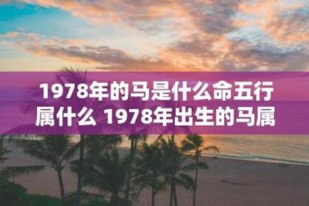 属马的五行属性解析与命运影响