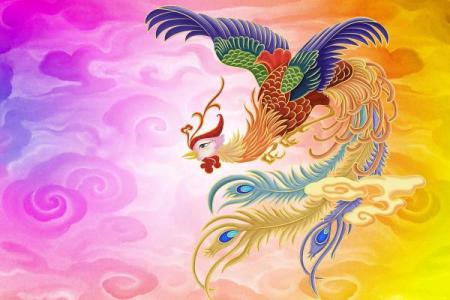 孔雀命的象征意义及其对人生的影响