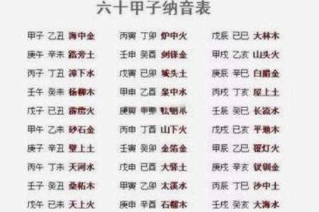 属鸡人的五行命理与运势解析