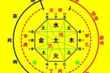 舒五行属性解析与命理影响