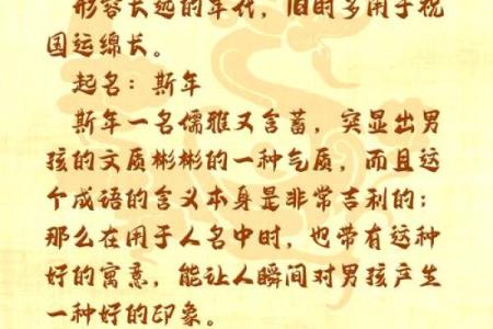 泰起名公司助你为孩子选择独特又吉利的名字