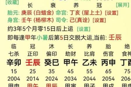 如何利用子五行调整个人命运格局