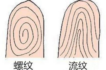 王虎应排盘与命理分析的结合应用