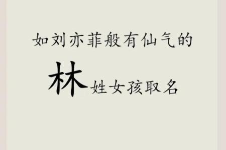 精选林姓女孩名字，赋予宝宝美好未来的命名灵感