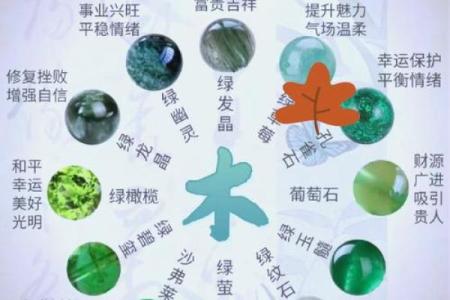 五行木的颜色解析与象征意义