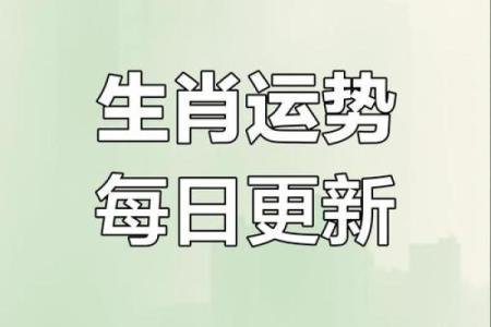 八字旺生肖解析：如何根据命理选择适合的生肖搭配