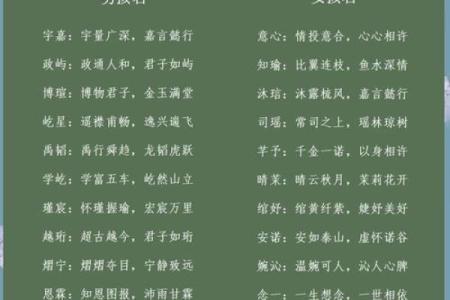 今天出生宝宝的名字选取指南，如何为宝宝赋予美好祝愿