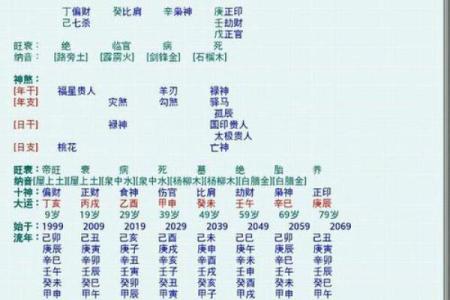 双官命解析：揭开命理中的独特命格
